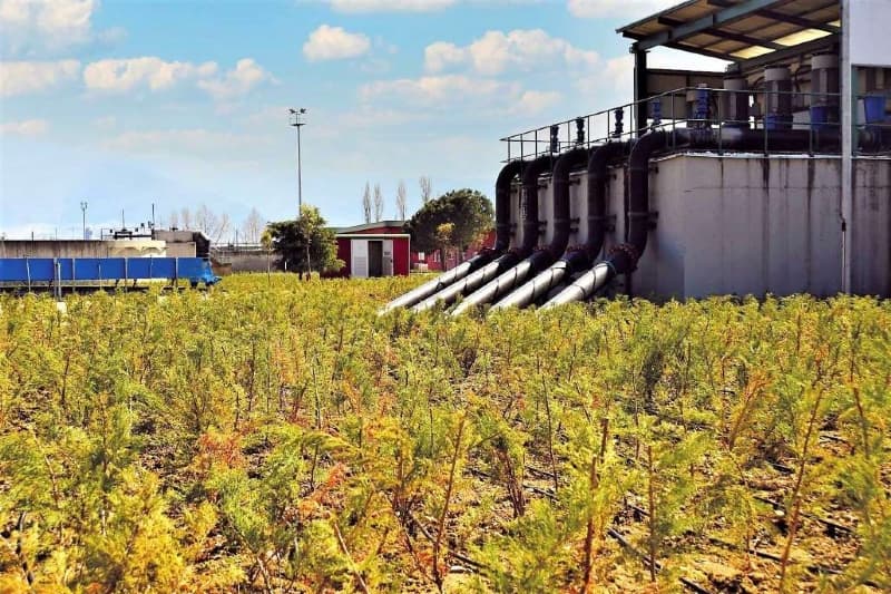 DOSAB Arıtma Tesisi ve Çevresi