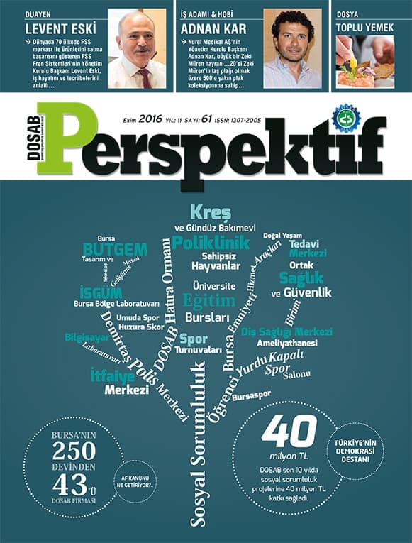 Perspektif Sayı 61