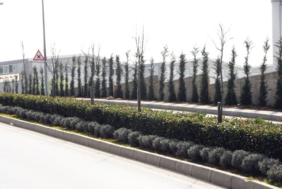 DOSAB Su Dağıtım Şebekesi